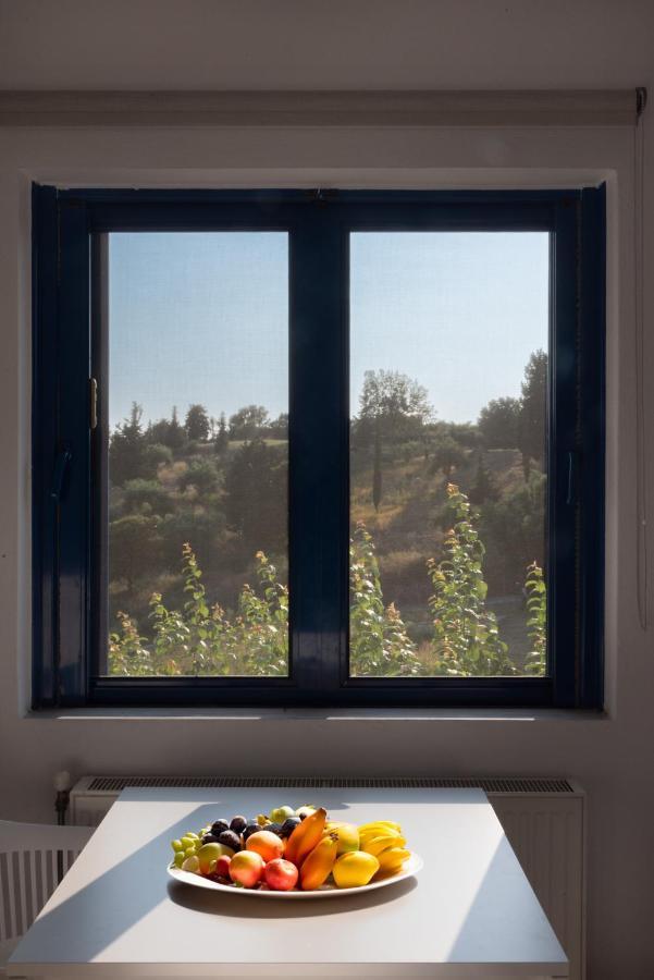 Villa Rodanthi Sivota מראה חיצוני תמונה